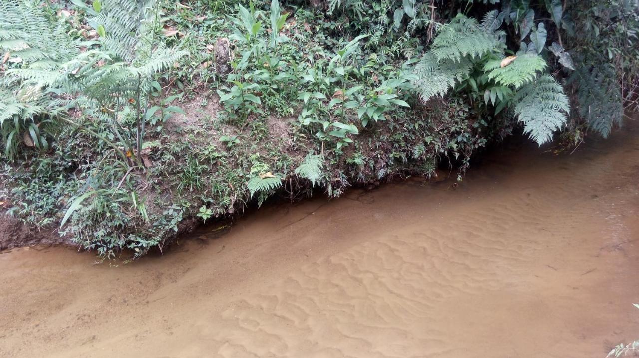 Chales Pouso Do Vale วิสกอนจิ จิ เมาอา ภายนอก รูปภาพ